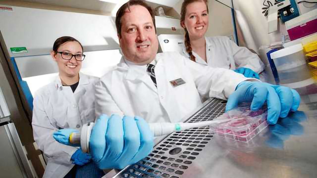 T Cell-biased Adenovirus Could be Ideal Zika Vaccine Vector