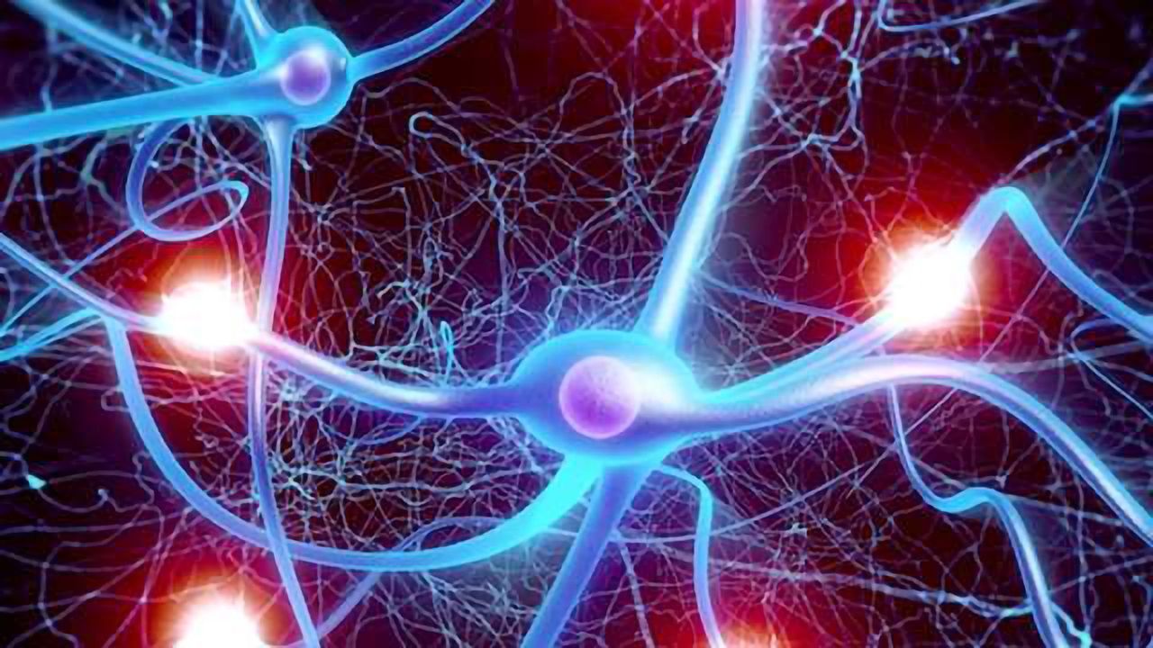 The Link Between the Appendix and Parkinson's Disease