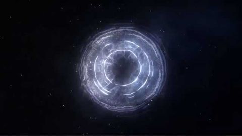 The Tiny Creature that Secretly Powers the Planet