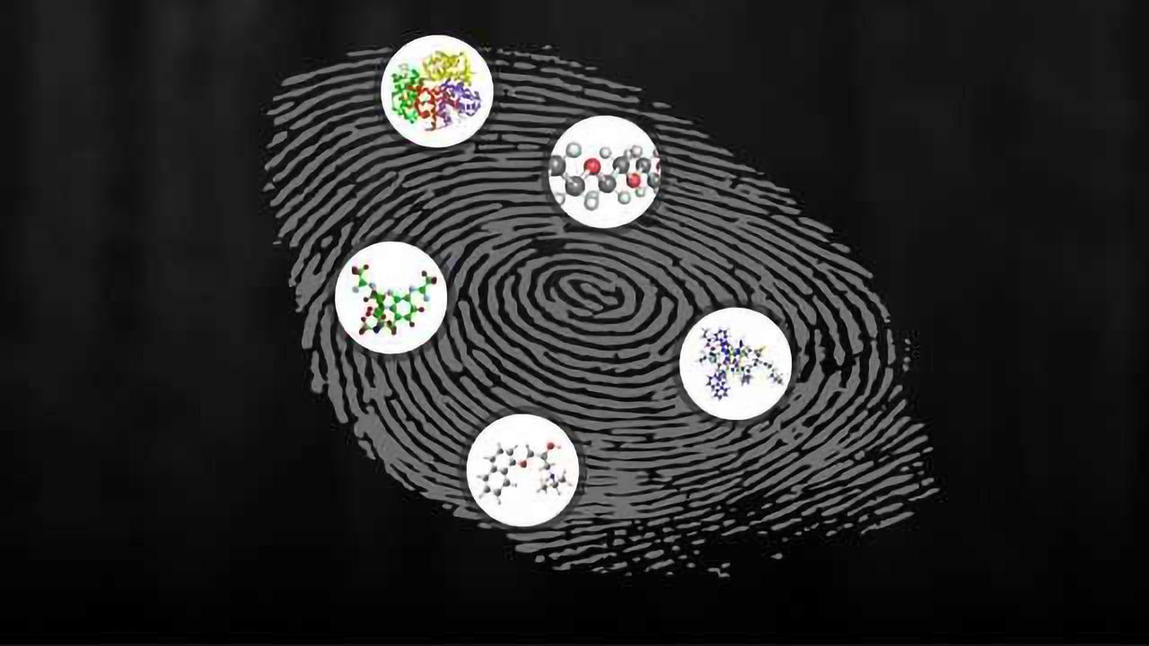 Your Fingerprints Reveal More than You Think