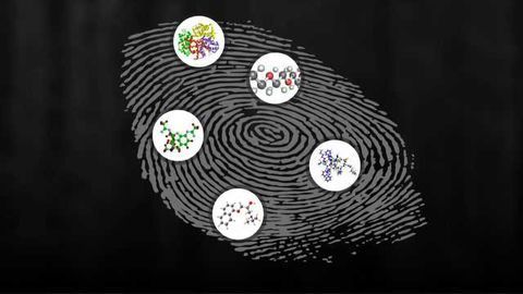Your Fingerprints Reveal More than You Think