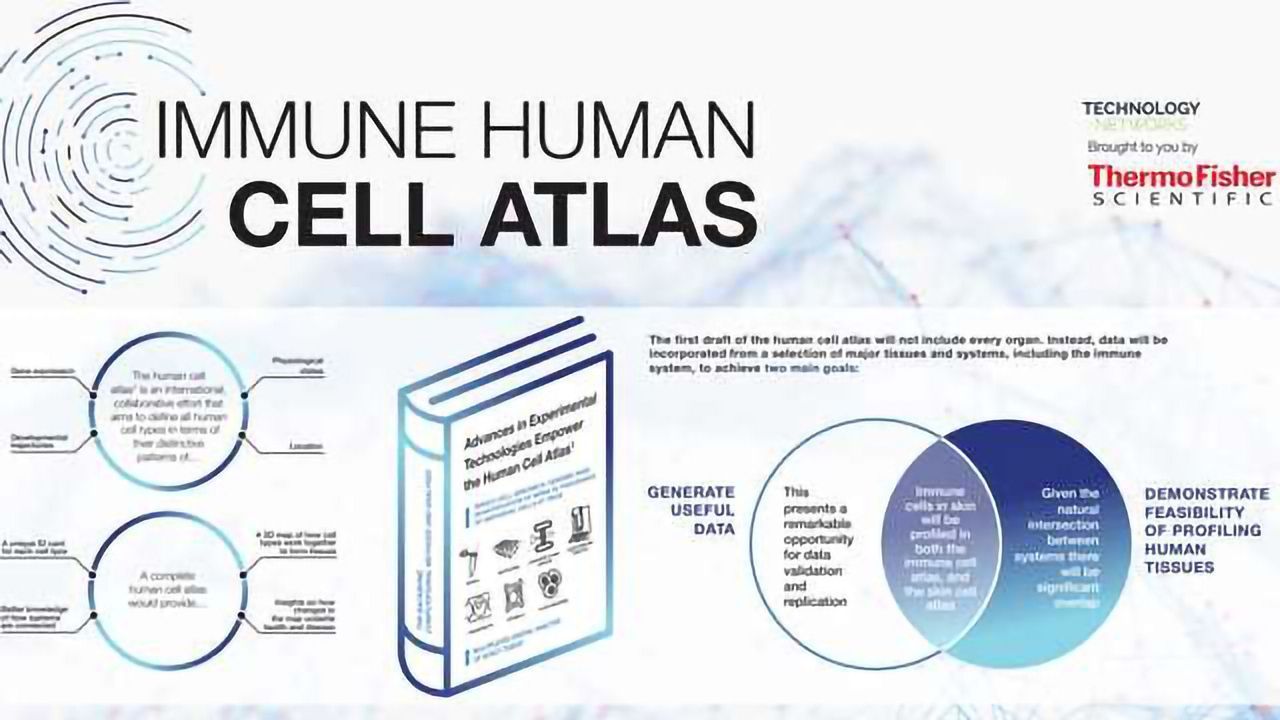 Immune Cell Atlas