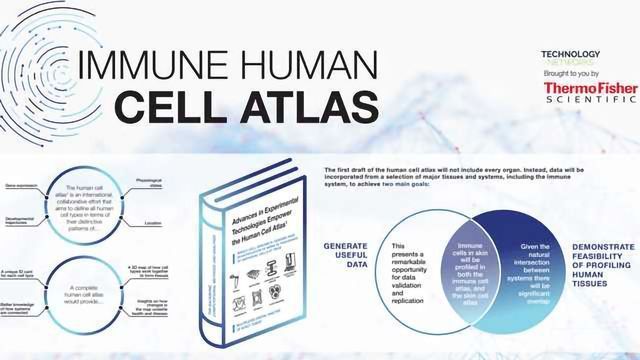 Immune Cell Atlas content piece image 