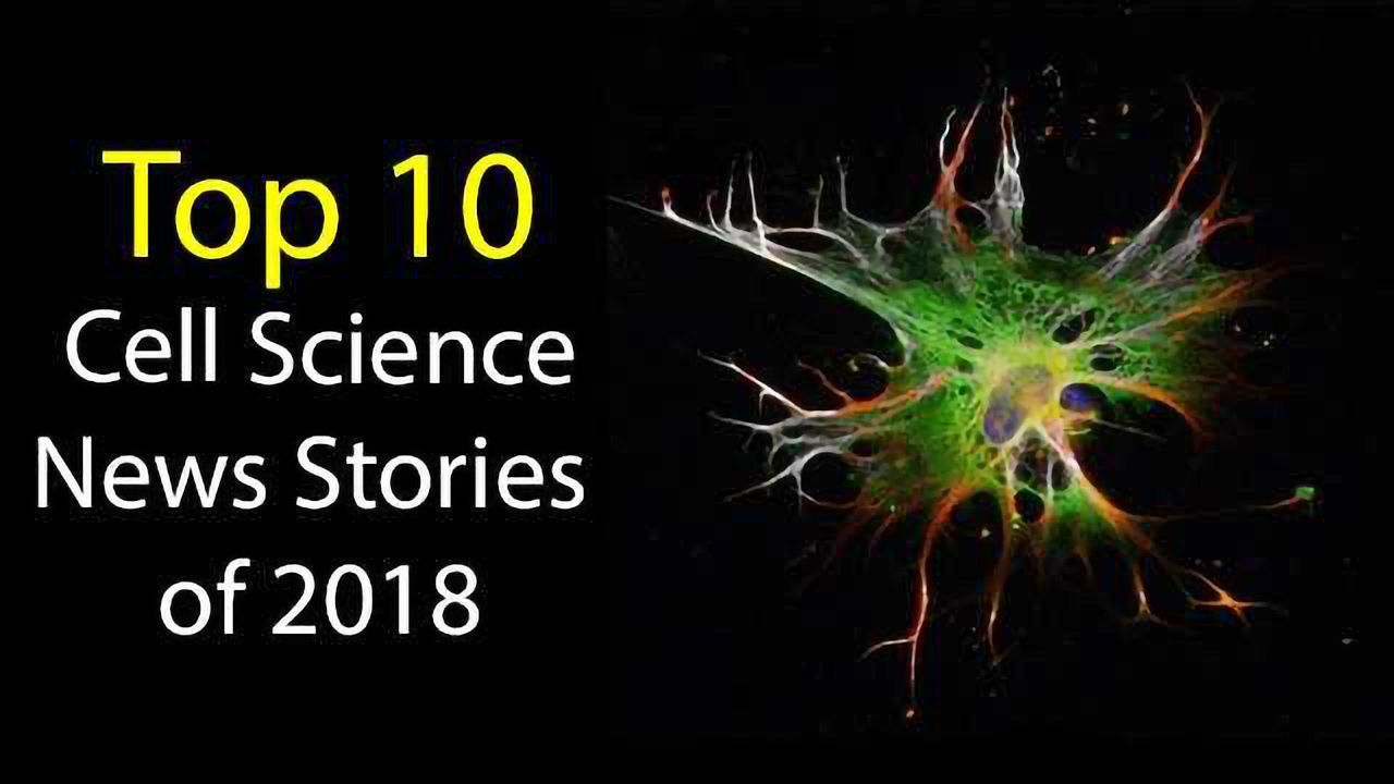 Top 10 Cell Science News Stories of 2018