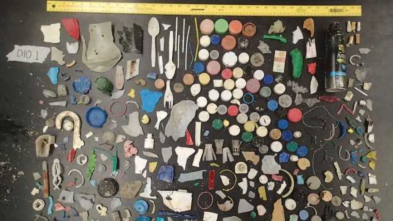 Shocking Levels of Marine Debris