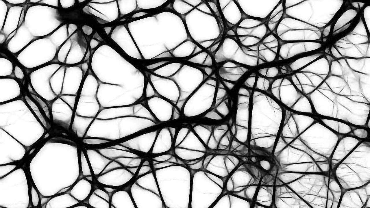 Defective Glial Cell Development Seen in Huntington's Disease Model