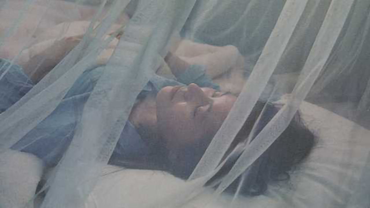 Determining the Lifespan of Smart Mosquito Nets