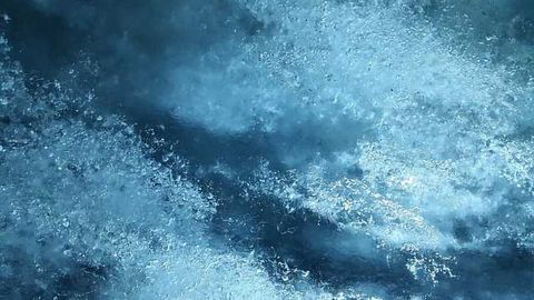 Enzyme's Unfrozen Adventure