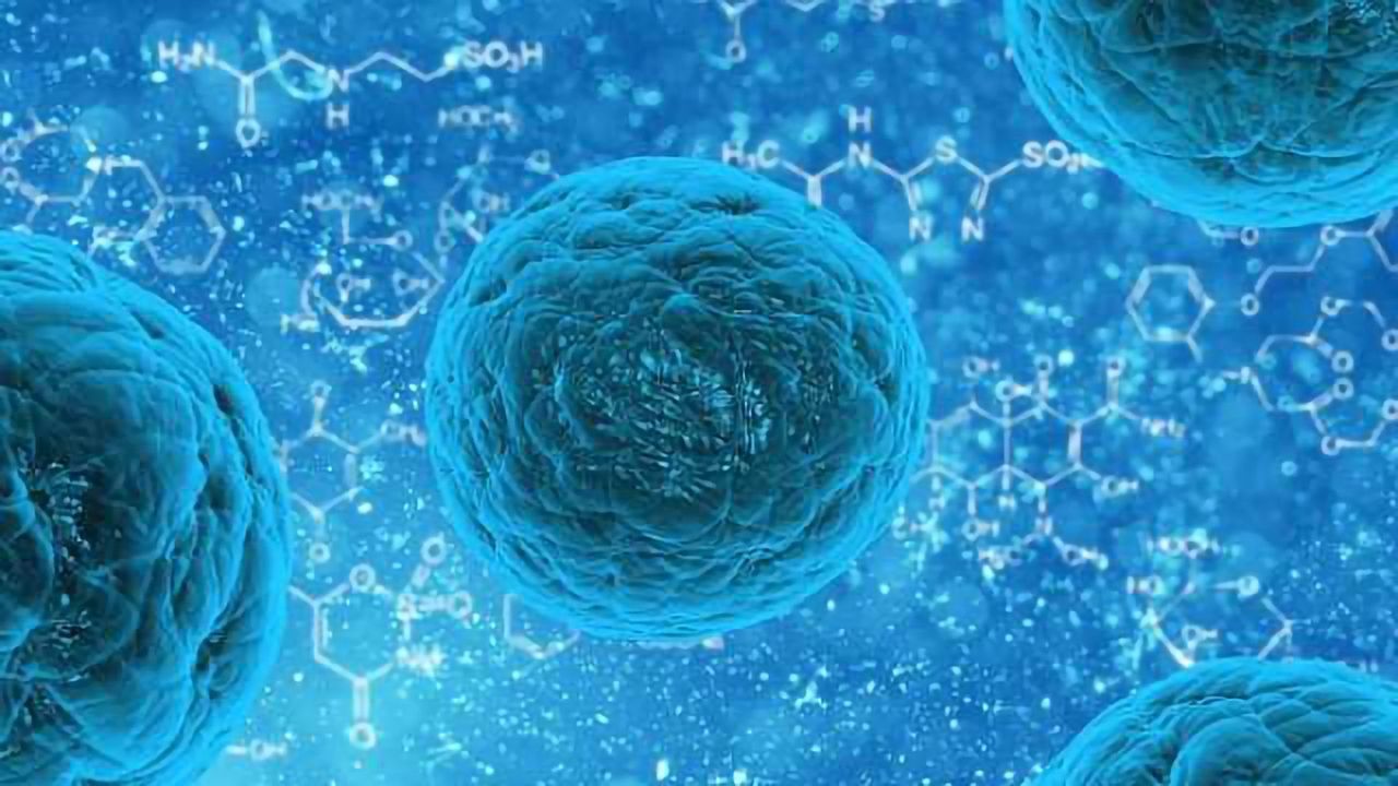 Cancer Cells Steer a Jagged Path