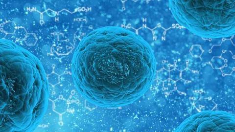 Cancer Cells Steer a Jagged Path