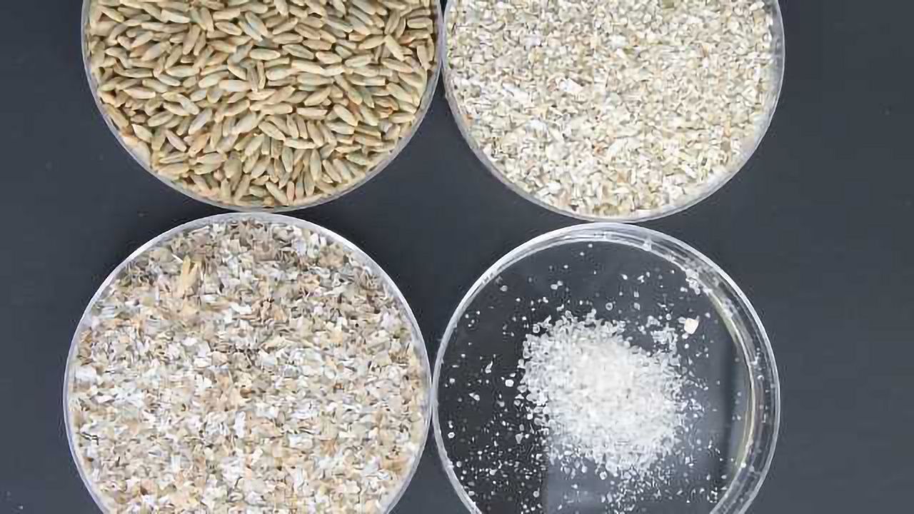 A 'Bran' New Way to Preserve Healthy Food