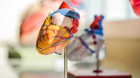 ADHD Drugs Unlikely to Cause Cardiac Damage in Children Who Take Them