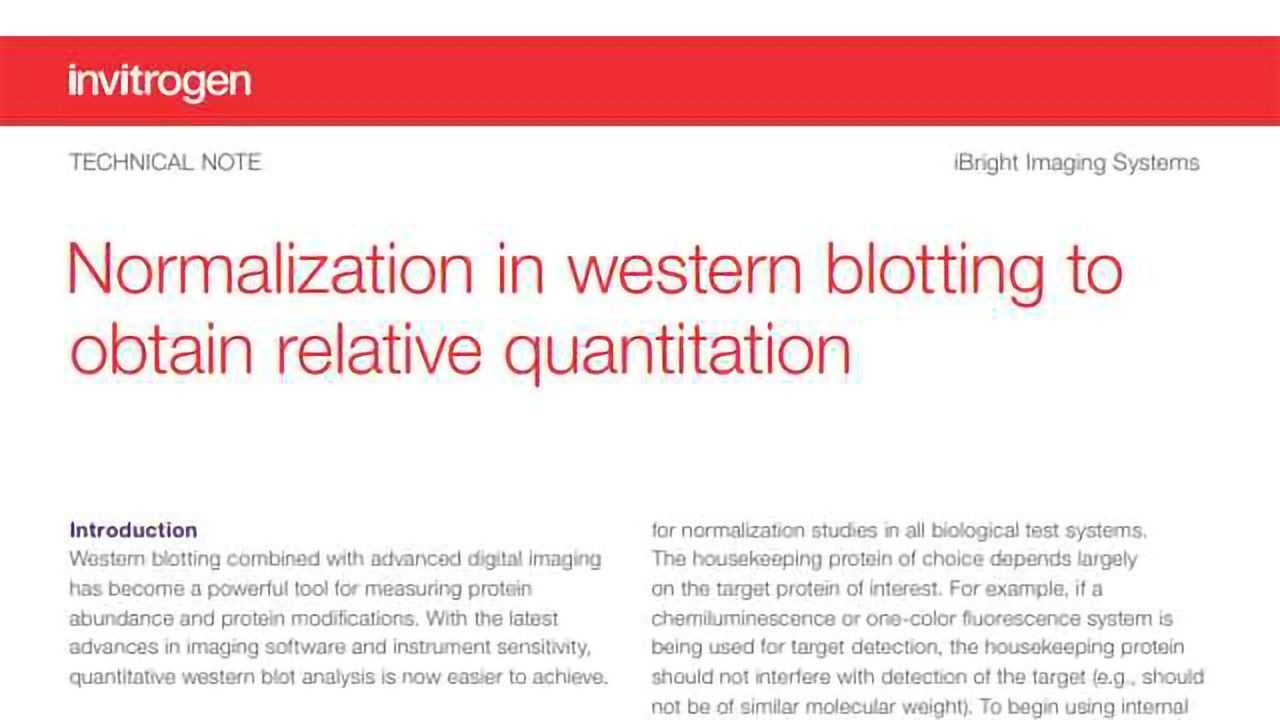 Normalization in Western Blotting to Obtain Relative Quantitation