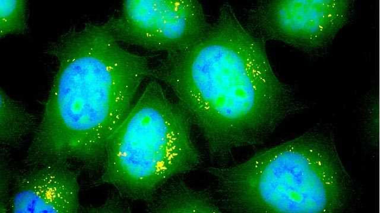Inhalable Form of mRNA to Help Treat Lung Diseases
