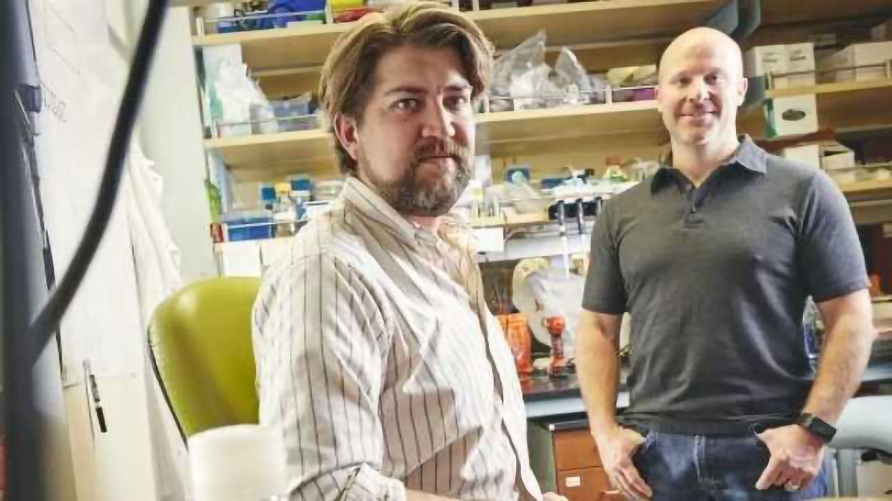 Gut Microbiome Protects Against Acute Arsenic Toxicity