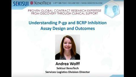 Understanding P-gp and BCRP Inhibition Assay Design and Outcomes