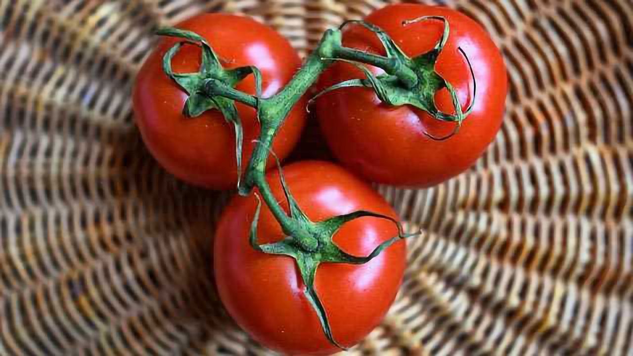Genetically Engineered Spicy Tomatoes