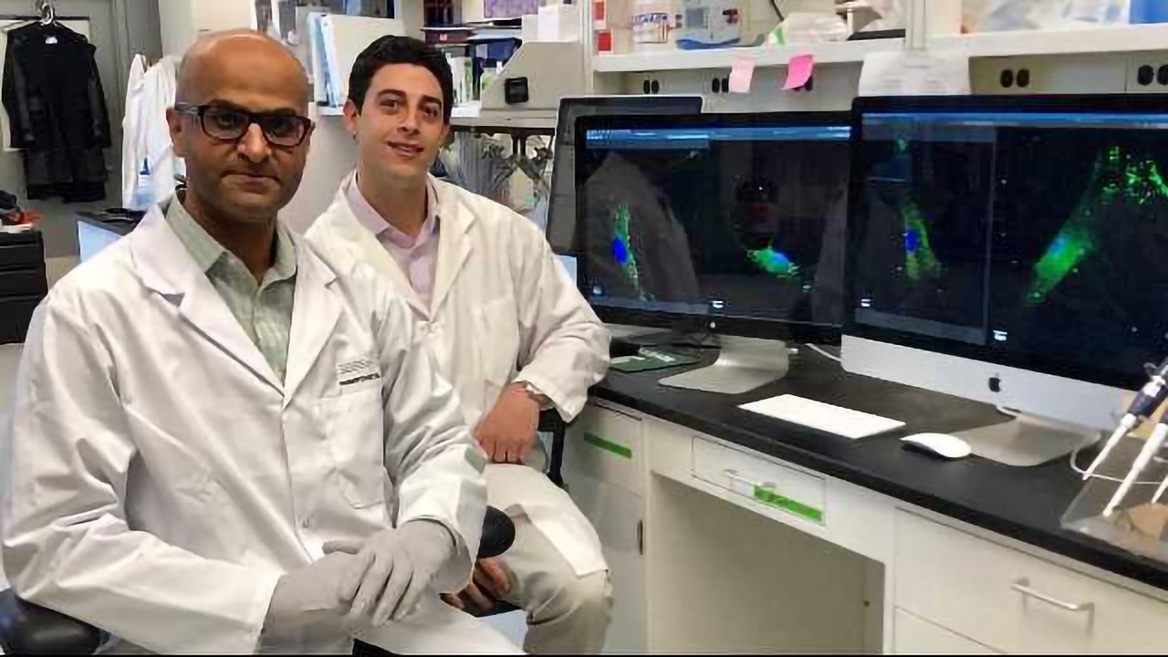 HIV Complications Potentially Linked to Faulty Immune Receptor