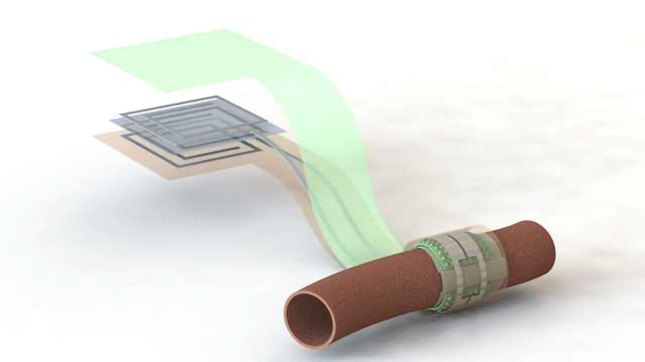 Wireless, Battery-free, Biodegradable Blood Flow Sensor