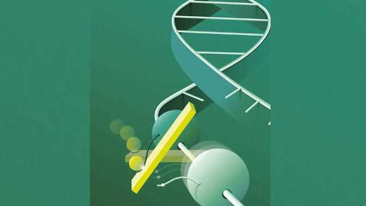 Mechanism of Gene Regulation Linked to Tumor Progression
