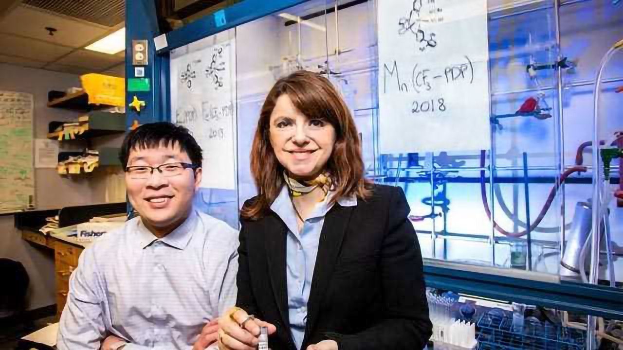 Diversifying Drug Development with New Metal Catalyst