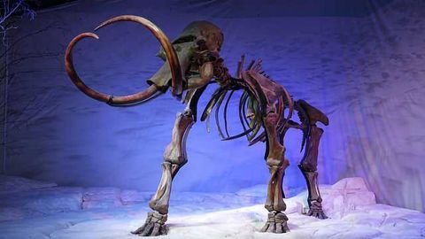 Modern Techniques Shine Light on Ancient Proteins