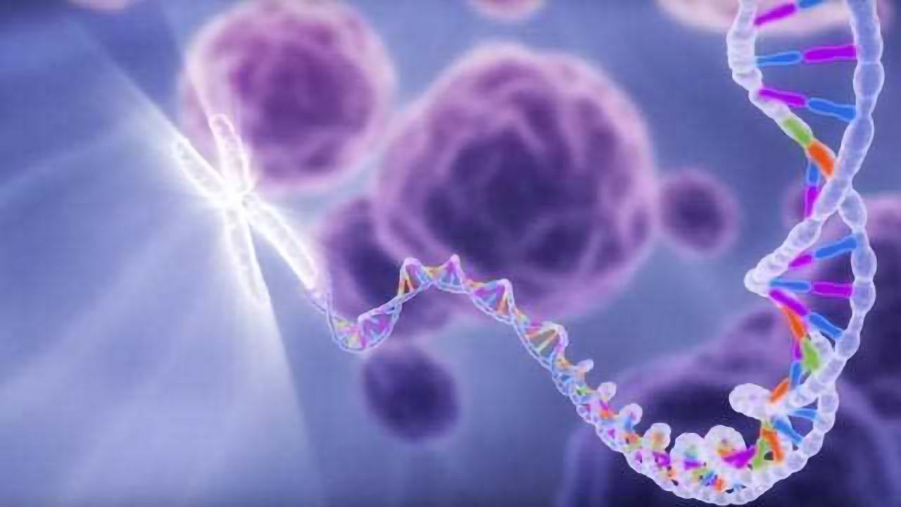 What is Genomic Sequencing?