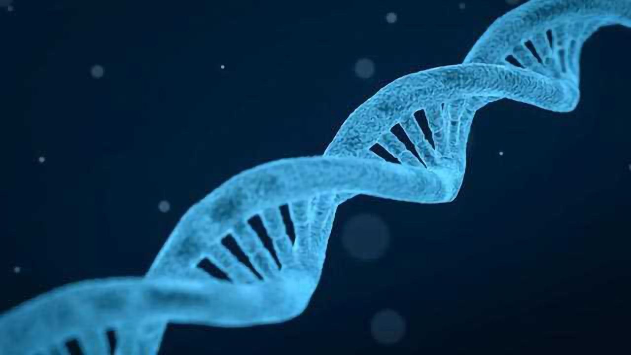 Biomarker Links Cancer Progression to Genome Instability