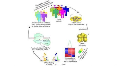 Predicting Anti-Diabetes Drug Response Using Fat Cell Genetics