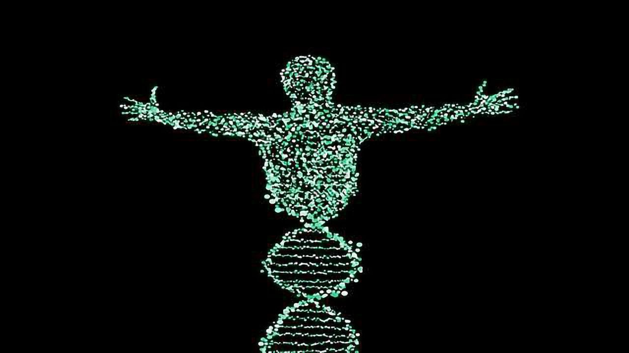 Researchers Identify Genes Involved in Immune System Regulation