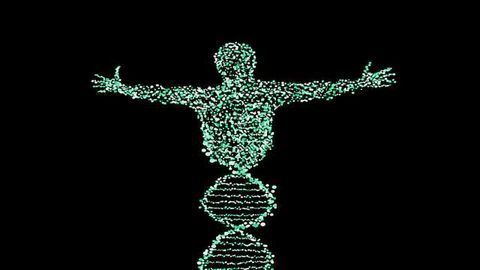 Researchers Identify Genes Involved in Immune System Regulation