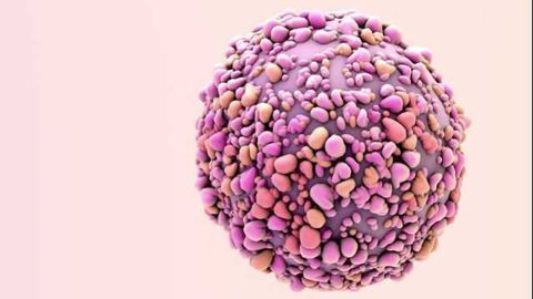 Converting Cancer Cells to Fat Cells to Stop Cancer’s Spread