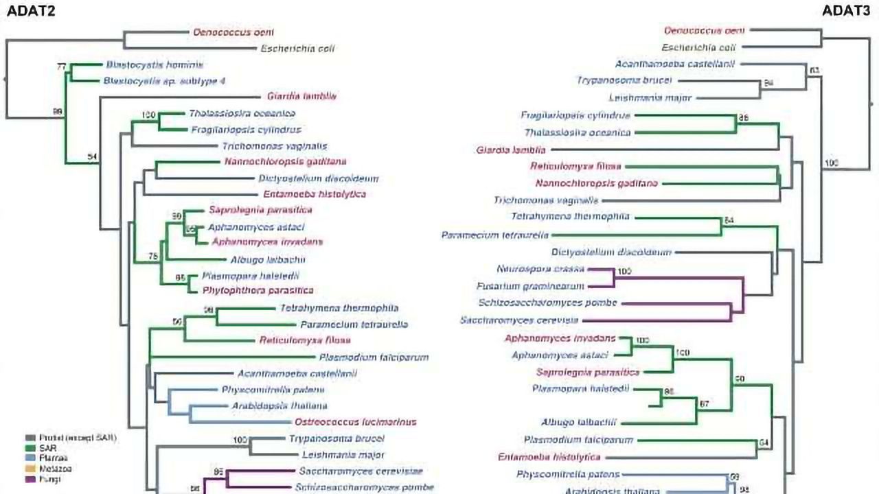 Proteomic "Spot the Difference" Solved