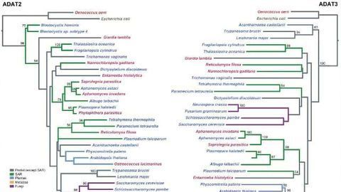 Proteomic "Spot the Difference" Solved