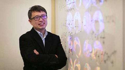 Machine Learning Uncovers New Insights into the Human Brain