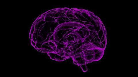 Revealing Gene Regulation in the Brain