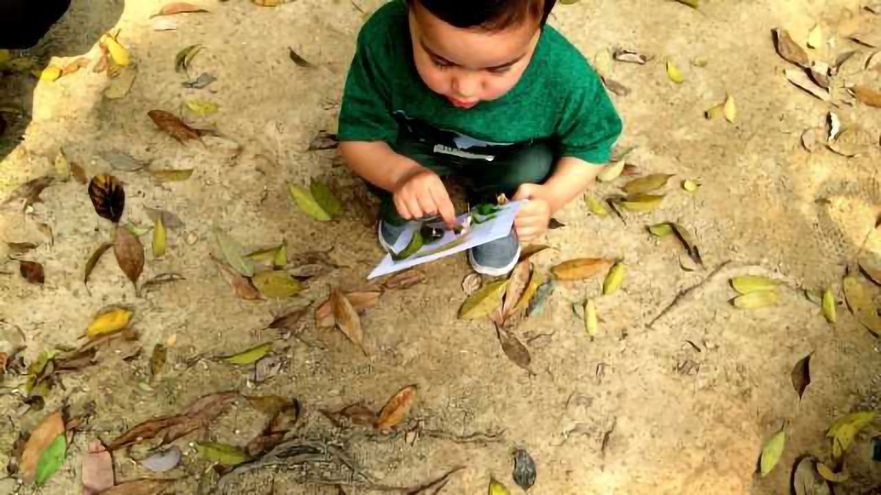 Novel Scale Measures Children's Connection to Nature