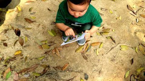 Novel Scale Measures Children's Connection to Nature