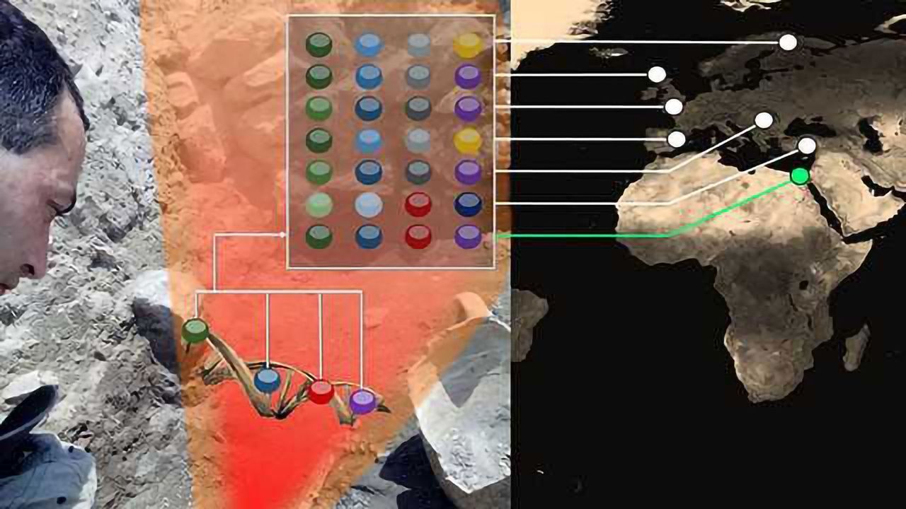 Scientists Are aAIM-ing to Identify Your Ancestors