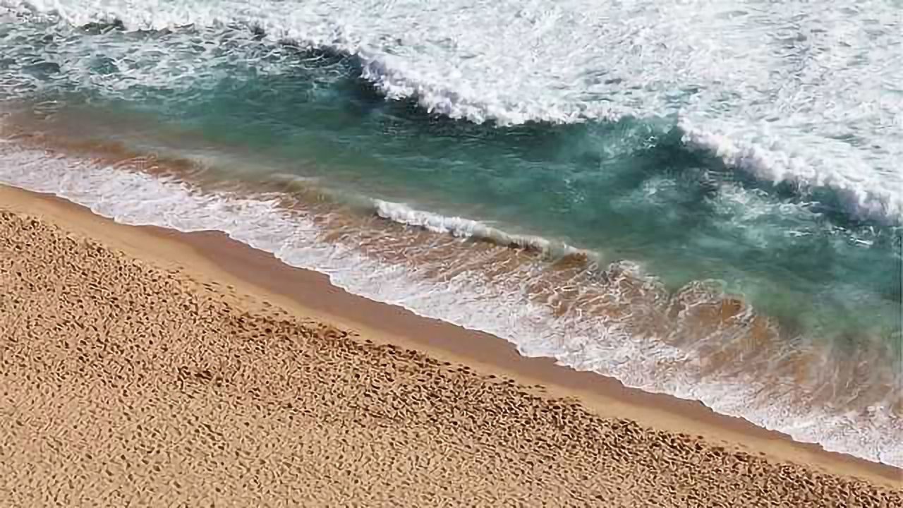 Marine Bacterium Reveals How Cells Control Toxic Metals