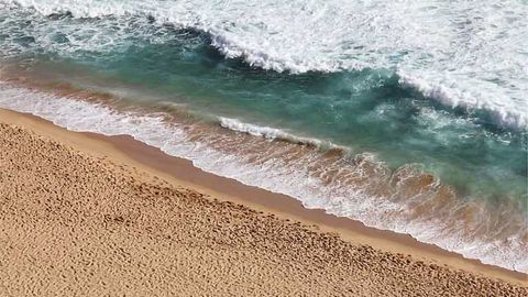 Marine Bacterium Reveals How Cells Control Toxic Metals