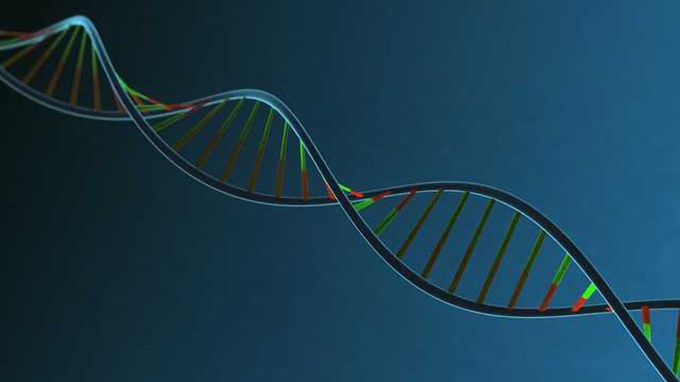 GenScript Launches Novel Technology Licensed from Amgen for Accelerating Protein and Antibody Purification content piece image
