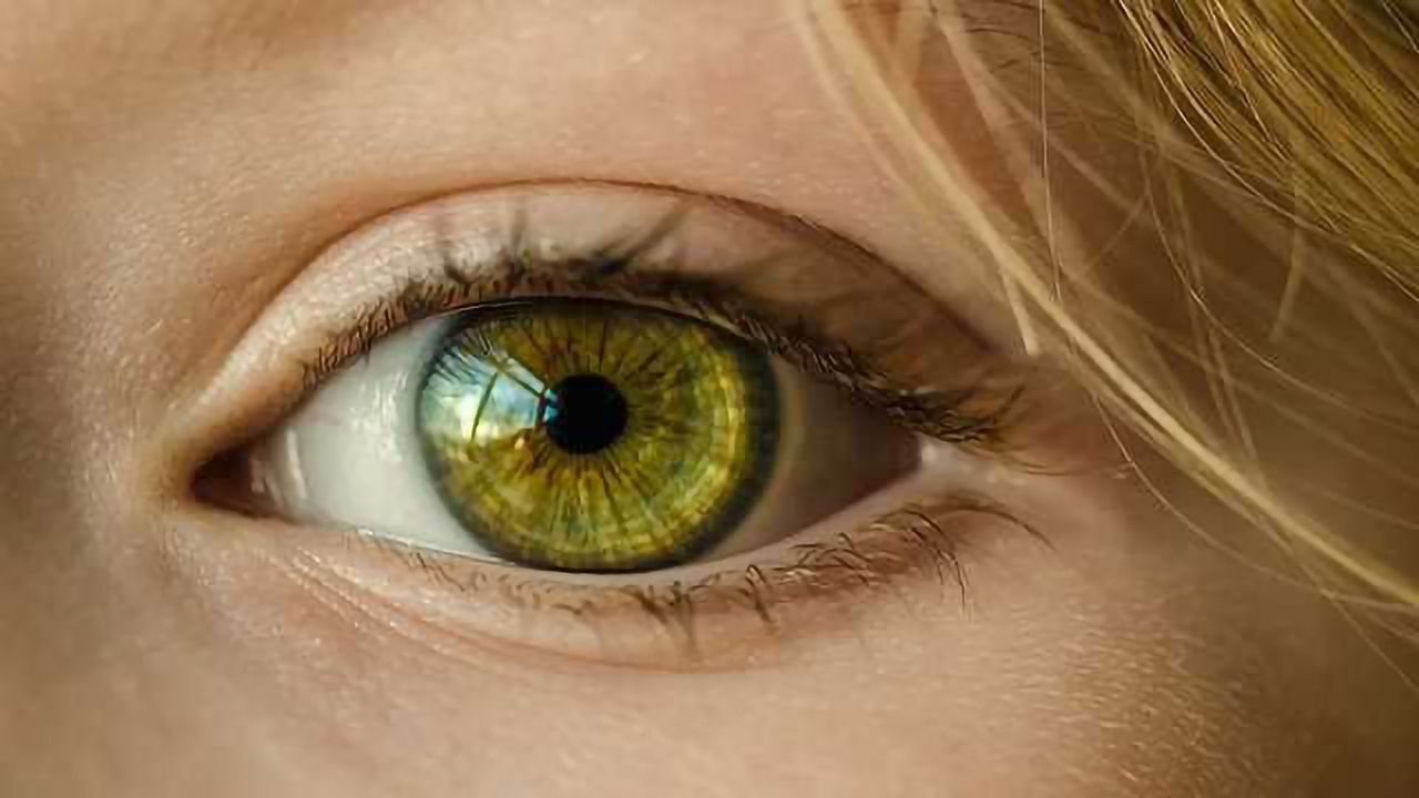 A Novel Therapeutic Target for Retinal Vein Occlusion