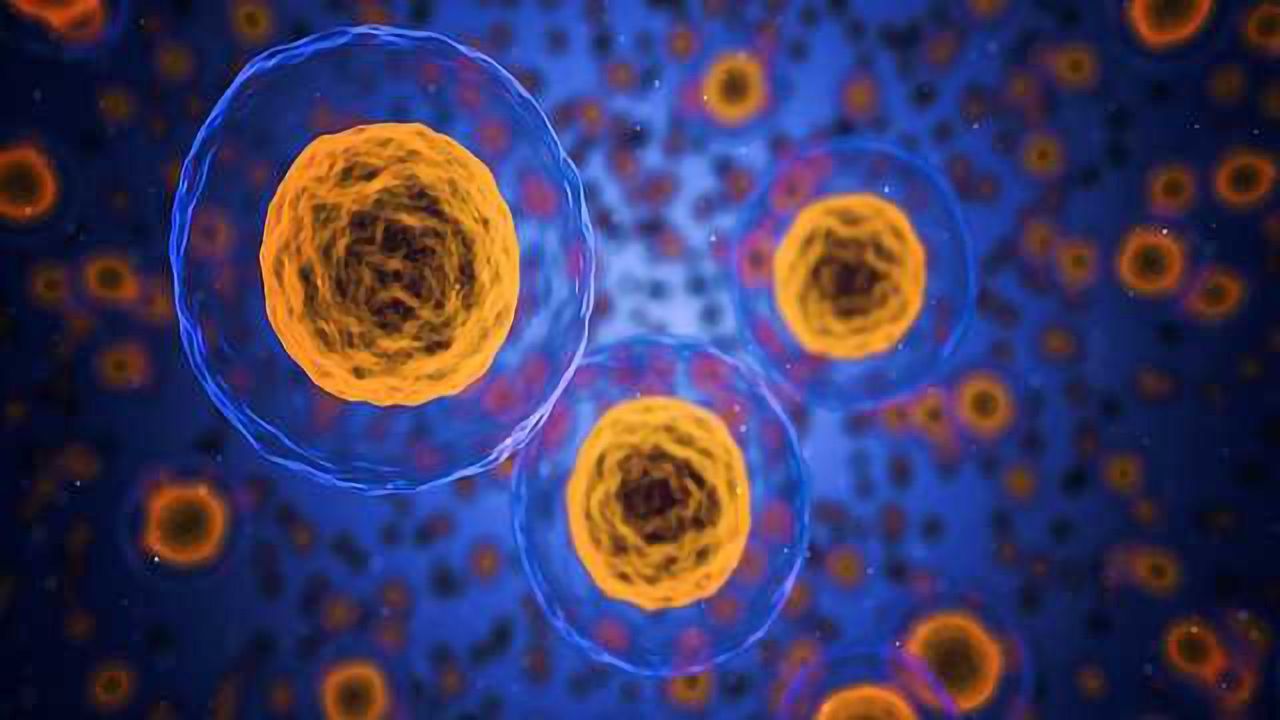 Fasting to Protect Against Aging-Associated Diseases