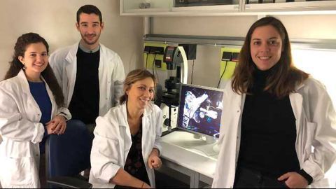 Defective Glial Cells Can Push Neurons Toward Parkinson's Disease