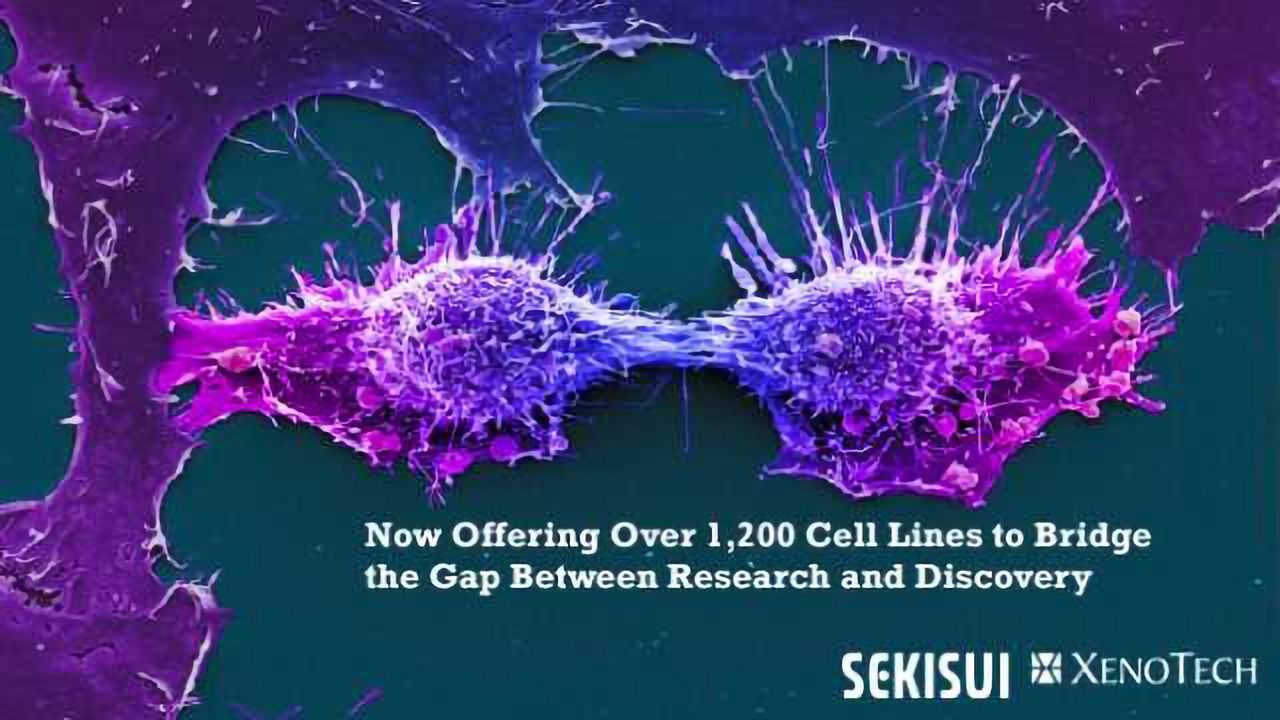 Sekisui XenoTech Expands Partnership for Japanese Collection of Research Bioresources Cell Bank (JCRB) Distribution