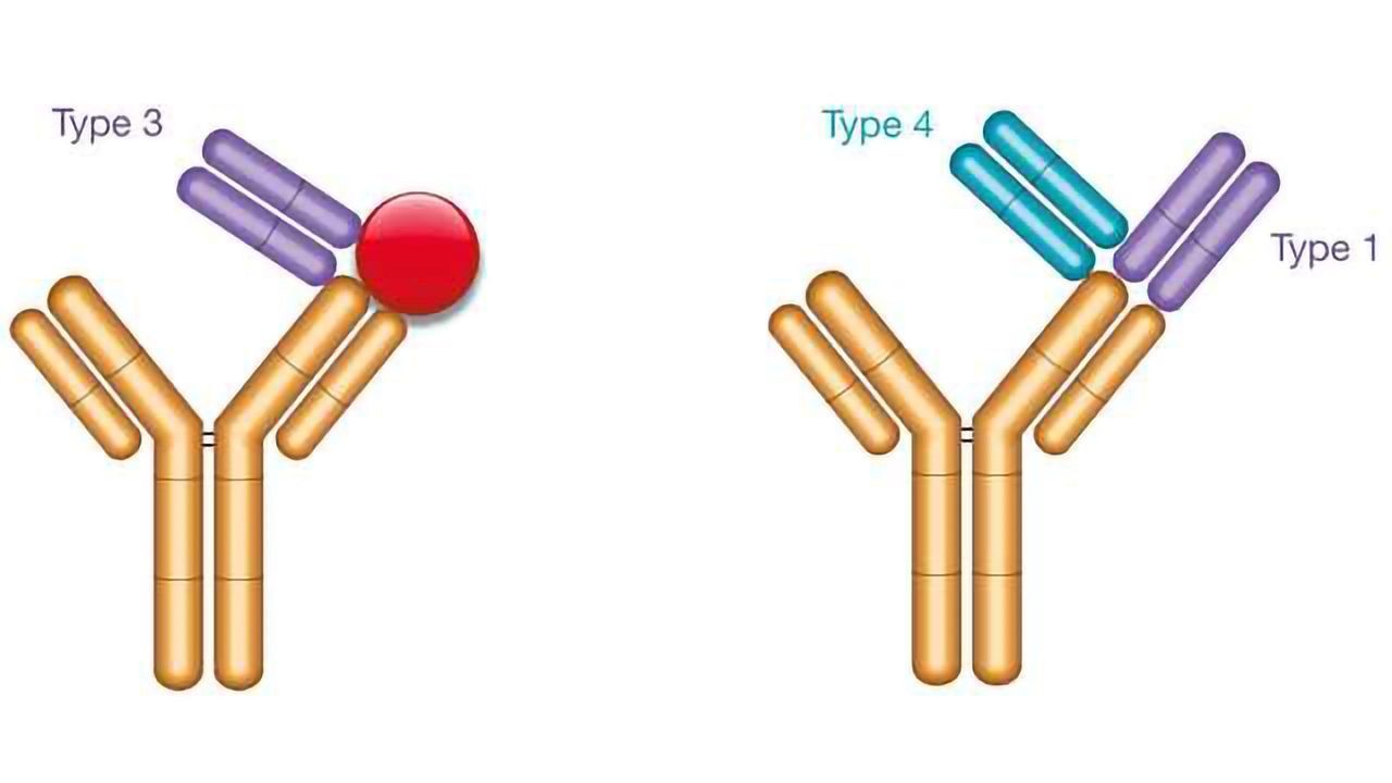 Bio-Rad Publishes New Findings on Generation and Characterization of Drug-Target Complex-Specific Antibodies