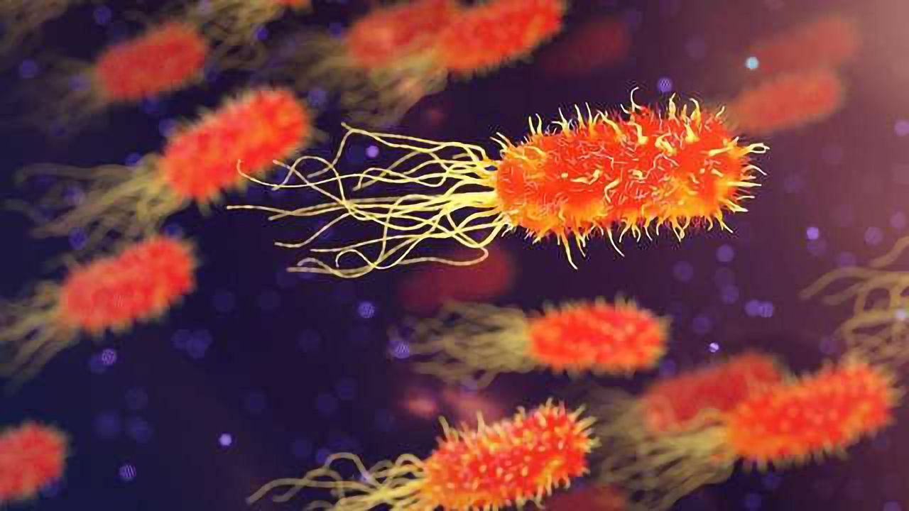 How Do Vaccines Work? Here's a Clear Explanation