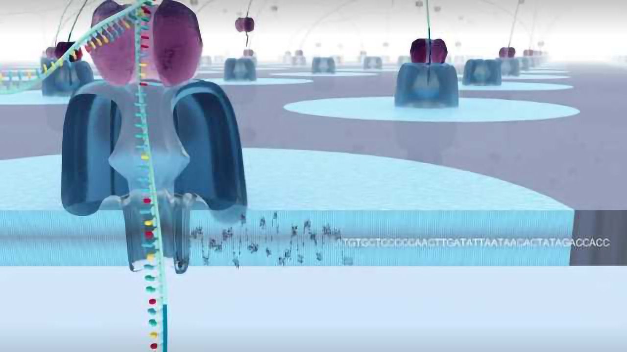 Introduction to nanopore sequencing