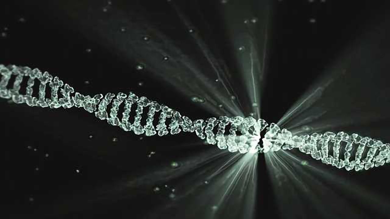 Unlocking the Secret to Gene Activation